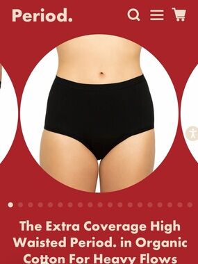 Extra Coverage High Waisted Period Panty — Black